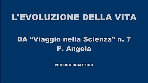 Cos'è l'evoluzione della vita sulla Terra basata sulla teoria di Darwin?