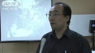 「金歯抜いた」情報も　ミャンマーで日本兵遺骨調査（13/08/09）