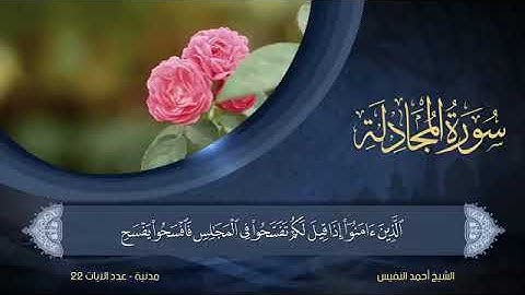 سورة  المجادلة  مكتوبة للشيخ أحمد النفيس / المصحف المرتل كاملا