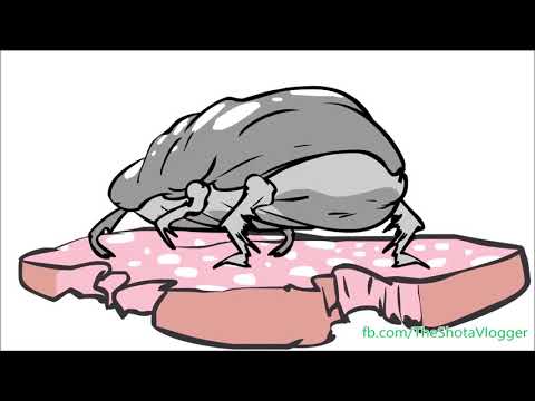 სბმ ანიმაციების ნაკრები #47 (გადათარგმნა და გახმოვანება by ShotaVlogger)