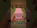 Minecraft pig #minecraft #マインクラフト #short #shorts #memes #майнкрафт #funnyshorts