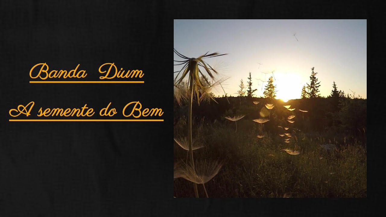 Banda Dium   A semente do Bem