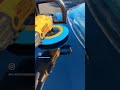 Tratamiento cerámico #shortsvideo #shortsviral #cars