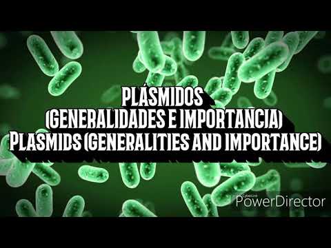 Video: ¿Qué son los plásmidos y cómo se pueden utilizar?