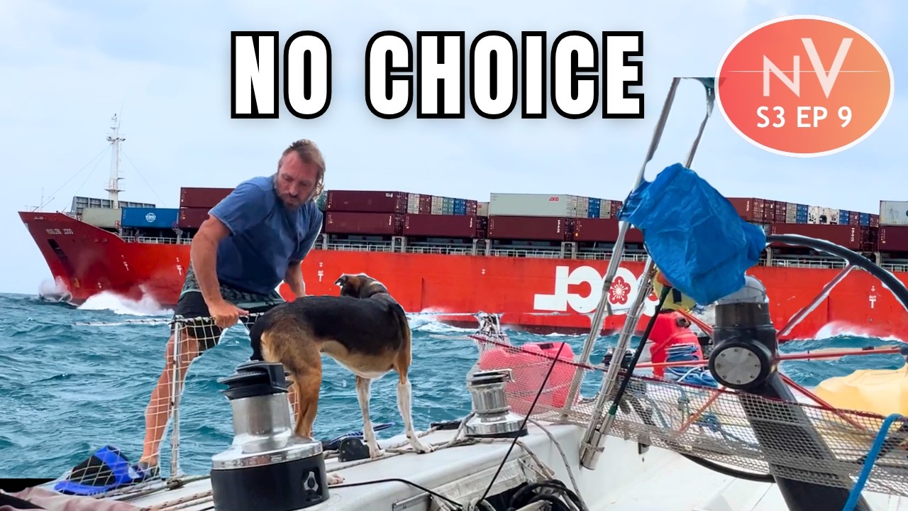 ⁣He Jumped In… In the World’s Busiest Shipping Lane | S2 Ep 9