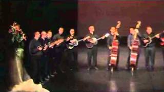 Video thumbnail of "Harem - Varaždinski Tamburaški Orkestar"