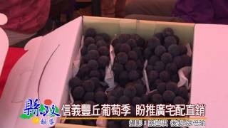 1040812信義豐丘葡萄季 盼推廣宅配直銷