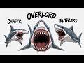 Every Kind of Shark Explained