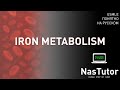 Метаболизм железа: регуляция, анемии, анализы, гемохроматоз | USMLE Step 1,2 на русском