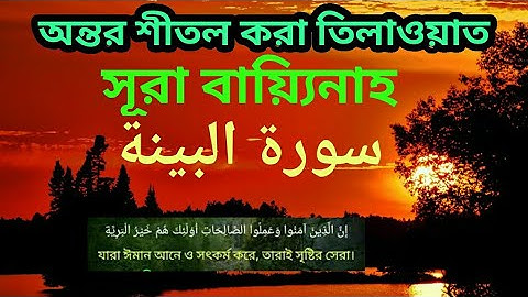 সূরা বায়্যিনাহ,سورة البينة,অন্তর শীতল করা  তিলাওয়াত,Listen to Surah Bayyinah, #quran #surabayyinah