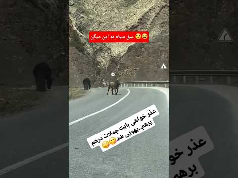 چش که چش نیست لامصب چیه این شما بگید