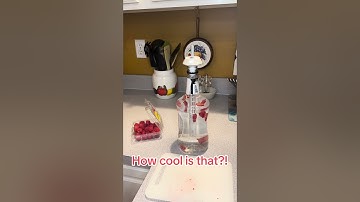 Vodka Vault: Filter and Infuse your drinks for a better experience #vodka #infusion #alcohol