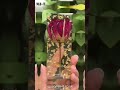 Create Magic with Res-iT Epoxy
