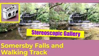 Somersby Falls Nsw Parallel Stereoscopic 3D Sbs Virtual Tour Through The Bush