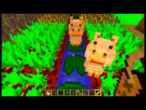 Video: Kur Rasti Arbūzus „Minecraft“
