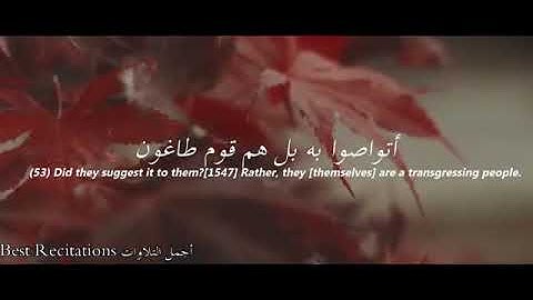 اواخر سورة الذاريات - القارئ اسلام صبحي