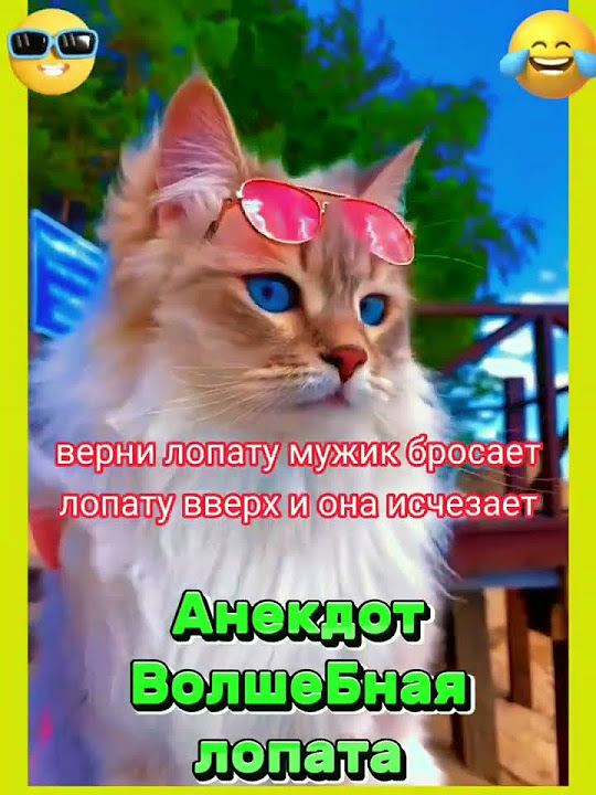 Анекдот Волшебная лопата. #анекдоты #котики #юмор #шутки #мемы #приколы ...