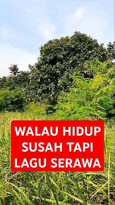WALAU HIDUP SUSAH TAPI LAGU SERAWA