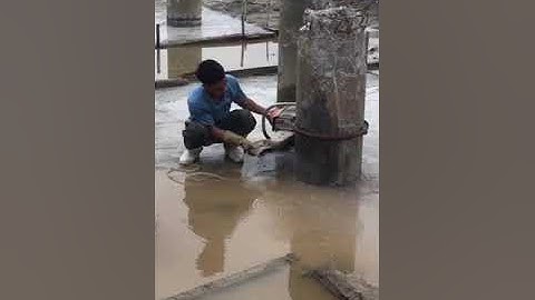 Căt Coc ly Tâm 0919151016