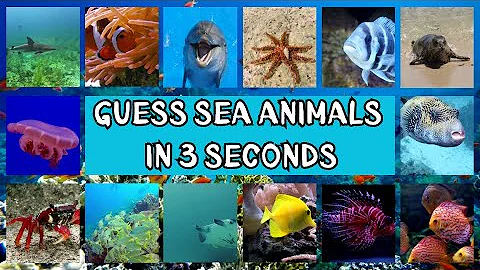 Sea Animals Quiz Challenge | Guess Sea Animals Names in 3 Seconds
