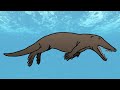 EVOLUCIÓN de los CETÁCEOS - Los antepasados de las ballenas y los delfines