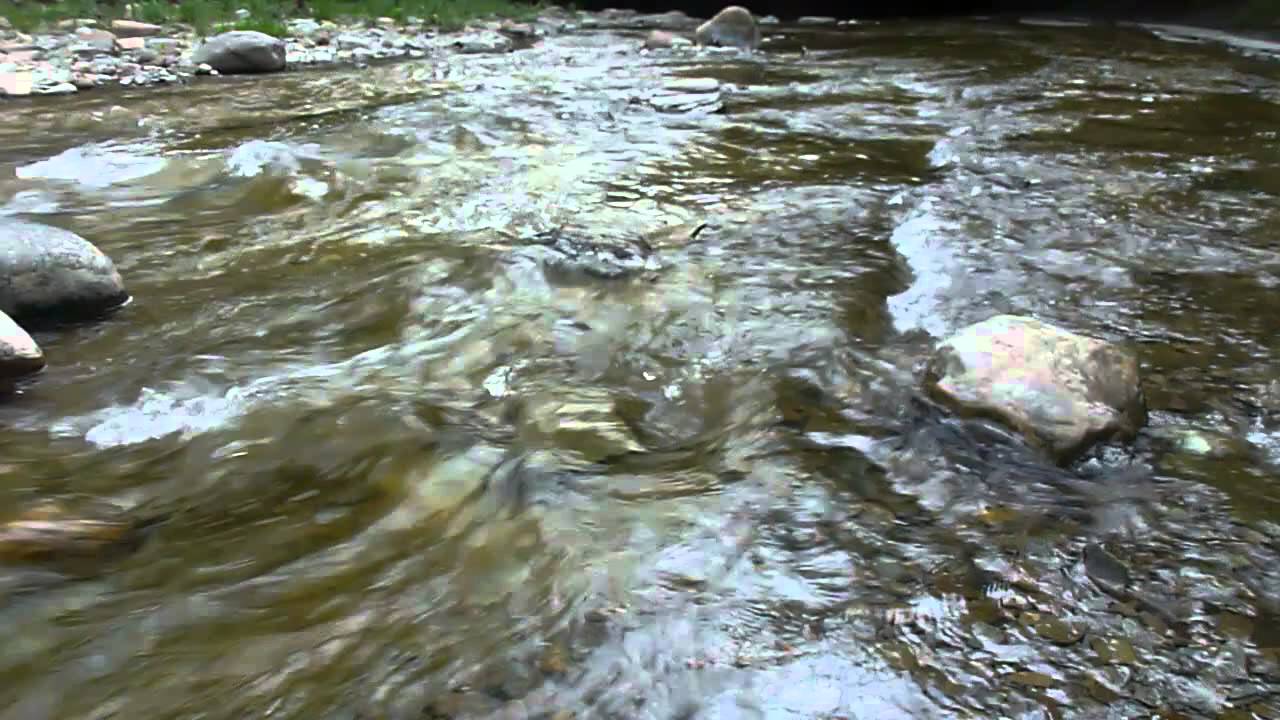Watch "Stop Raining" by IntrepidErie on YouTube Watch "Stop Raining" by IntrepidErie on YouTube