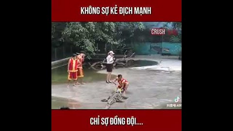 Không sợ kẻ địch mạnh, chỉ sợ đồng đội ngu. Cười vỡ bụng với màn xiếc cá sấu