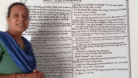 std-7 prose-2 The art of whitewashing