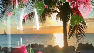 Spokojnego, miłego wieczoru życzę 💞🌹🍀🎶🎶🎶...