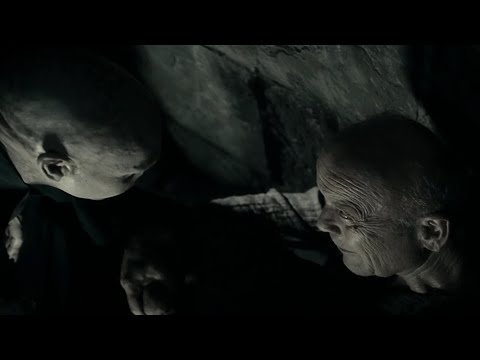 Video: ¿En qué casa estaba Grindelwald?