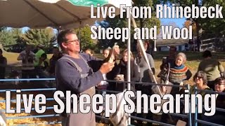 NY Sheep and Wool Festival - Live From Rhinebeck - Live Sheep Shearing- Must See