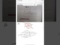 Equivalent resistance across the diagonals of a cube...neet jee physics