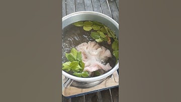 Cooking food with pig intestines | Farm life Part138