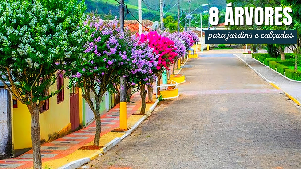 8 ÁRVORES NATIVAS BRASILEIRAS PARA JARDINS E CALÇADAS