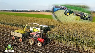 Akcja Kiszonka 2021 Claas, Mercedes-Benz, John Deere, Ursusy, Zetory