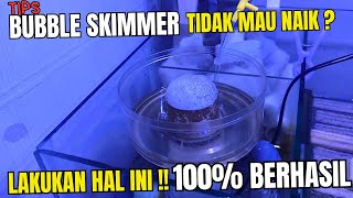 TIPS MENGATASI BUBBLE PROTEIN SKIMMER TIDAK MAU NAIK !! LAKUKAN HAL INI 100% PASTI BERHASIL