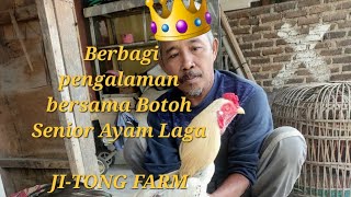Exclusive.! Botoh Senior Ayam Laga Buka Rahasia, Ayam Petarung Super Bagus kalahnya sama CEKAK 🤣