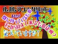 気づいていますか？既に持っているもの・そこから見えて来るものは何？【ルノルマン＋タロット】