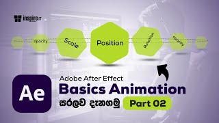 Adobe After Effect For Beginners | Basic Animations | Part 02 | Sinhala