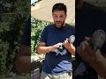 Lavori al podere con @Bosch DIY and Garden Italia