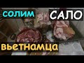 Лучшее сало. 3 рецепта/сколько мяса во вьетнамском поросенке