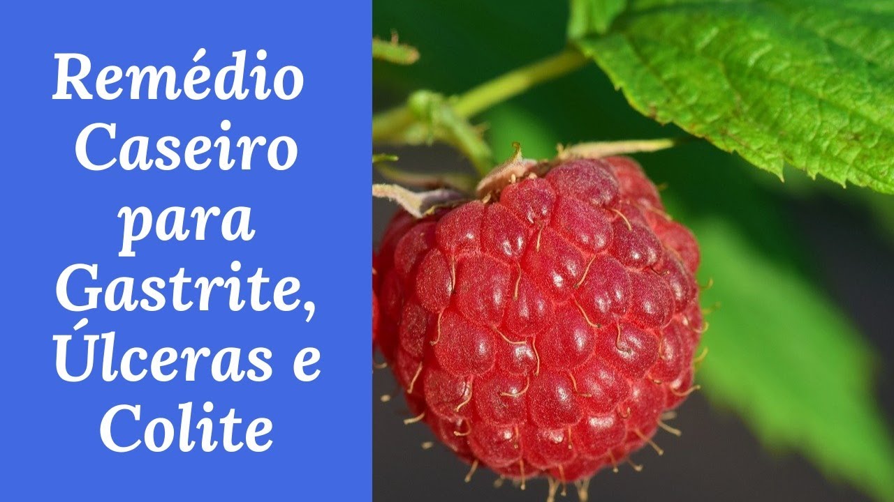 REMÉDIO CASEIRO para Gastrite, Úlceras e Colite (BEM SIMPLES) - YouTube