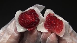 桂月堂　かこい梅