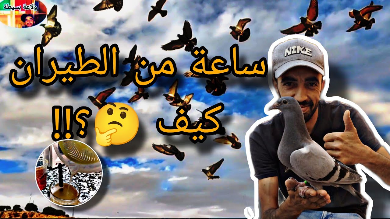 ثلاث مواضيع مهمة ⛔🚨🤔 ساعة من الطيران فوق اللوفت الحمد لله 👀👀🕊️