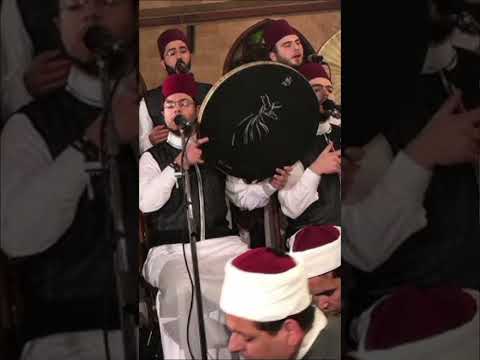 الرد الشفوي على المحتفلين بدكرى المولد النبوي الشيخ مقبل