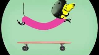 Wiener Dog Riding A Skateboard Animation