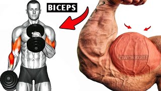 6 Best Exercises to build Strong Arms with Dumbbells | Biceps Workout