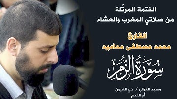 استمع وتدبر: سورة الزمر 📖 الشيخ محمد مصطفى محاميد يرتل باسلوب هادئ ومريح
