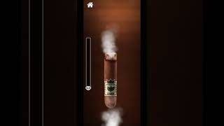 Cigarette Smoking Prank screenshot 3