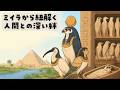 【神にされた鳥】ミイラから紐解く人間との深い絆（EP.199）